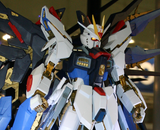 Perfect Grade Strike Freedom Gundam Gundam Bandai