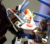 Perfect Grade Strike Freedom Gundam Gundam Bandai