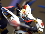 Perfect Grade Strike Freedom Gundam Gundam Bandai