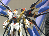 Perfect Grade Strike Freedom Gundam Gundam Bandai
