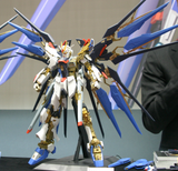 Perfect Grade Strike Freedom Gundam Gundam Bandai