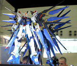 Perfect Grade Strike Freedom Gundam Gundam Bandai