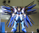 Perfect Grade Strike Freedom Gundam Gundam Bandai